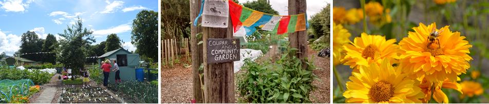 Pictures of local community gardens and allotment